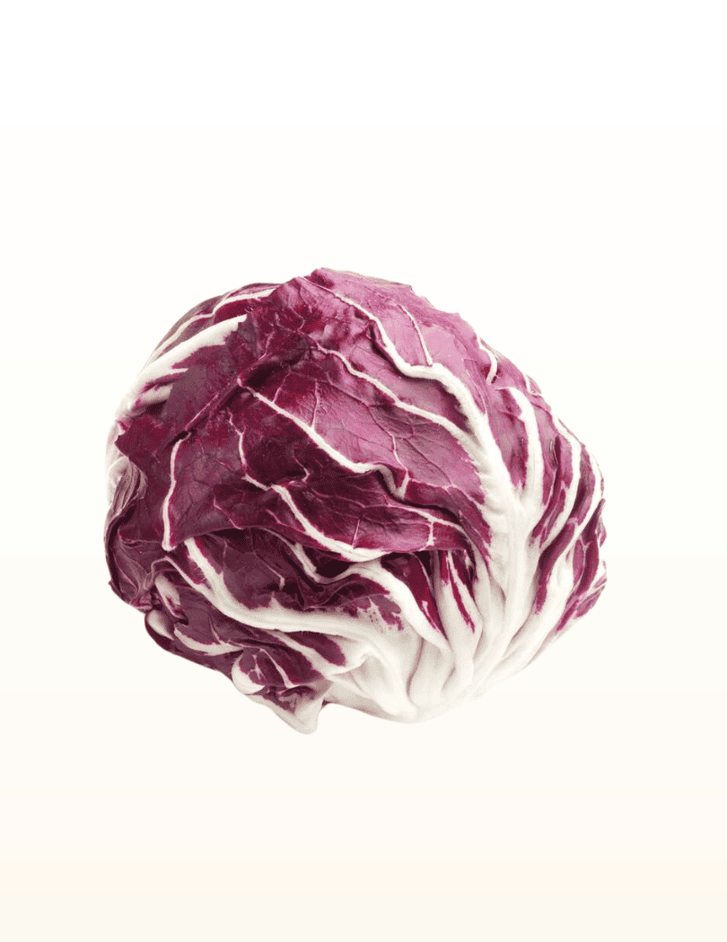 Salade Trévise